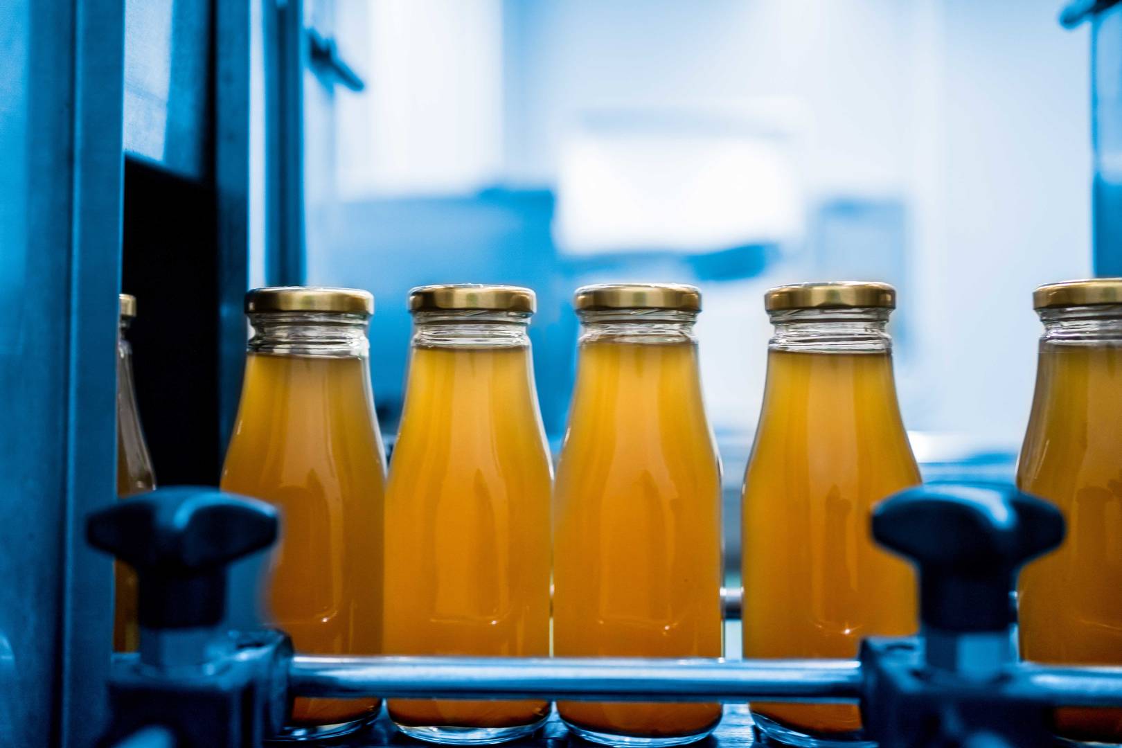 glass bottles on an assembly line filled with apple juice
