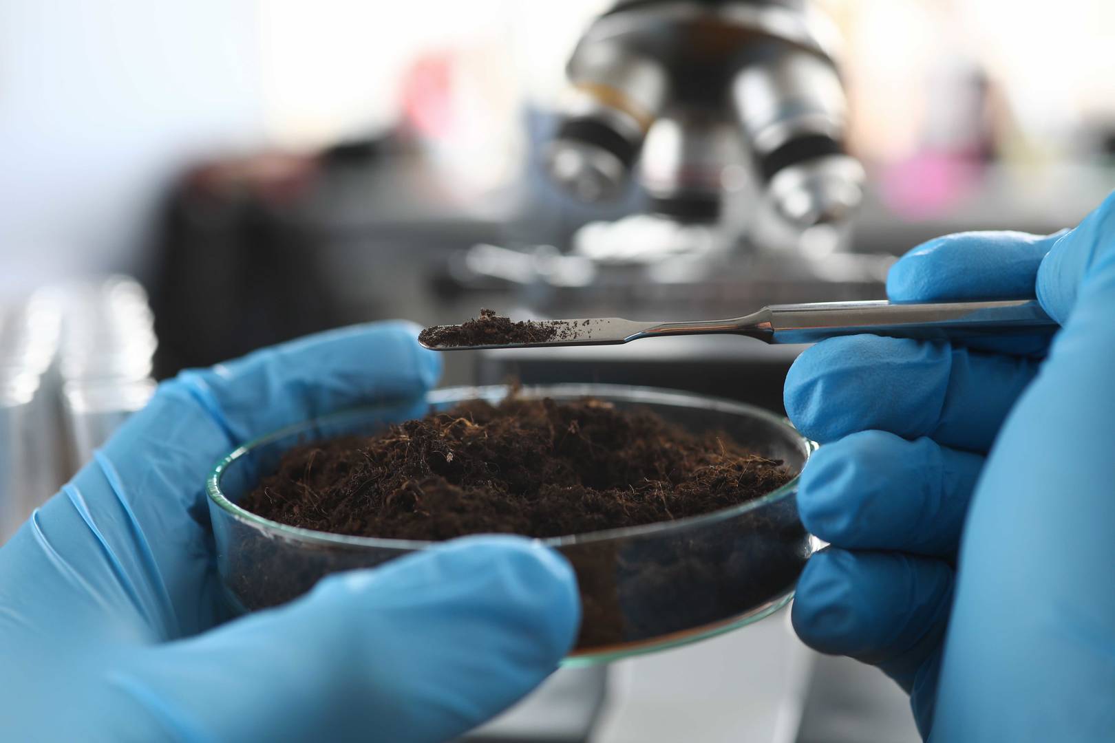 ALS_soil-sample