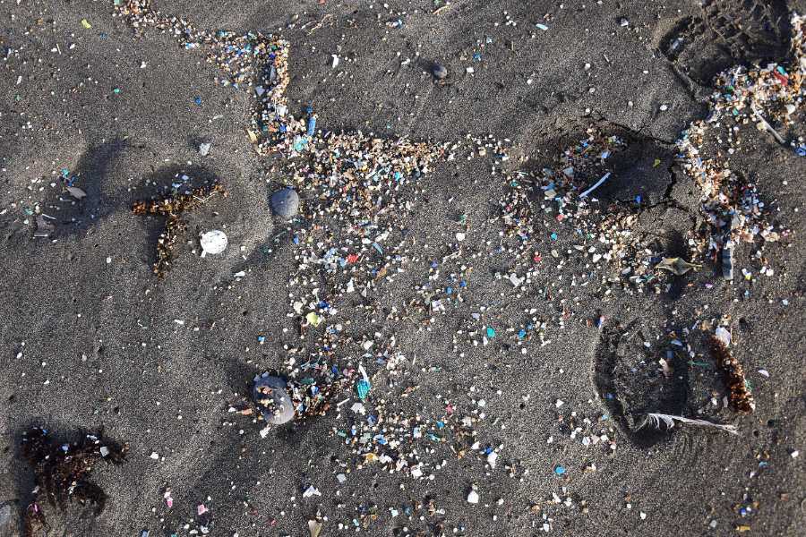 Microplastics in sediment