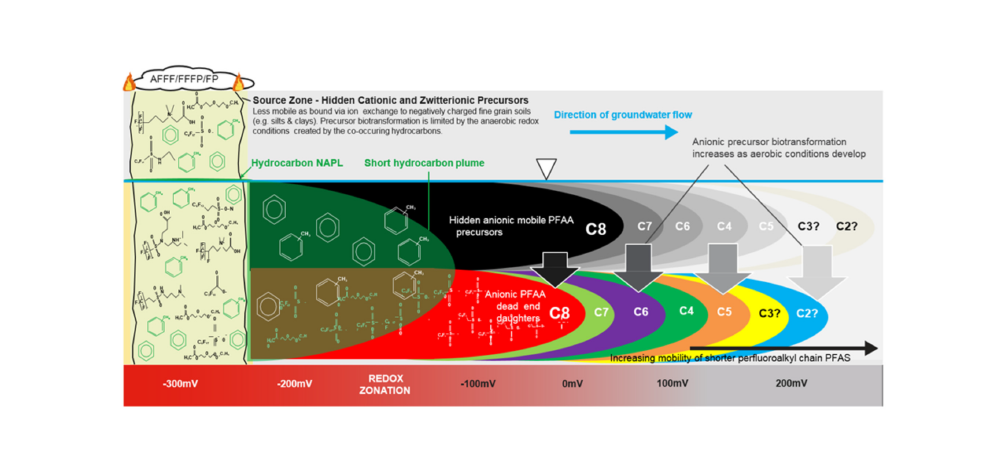 Conceptual site model for PFAS from a fire training area source zone