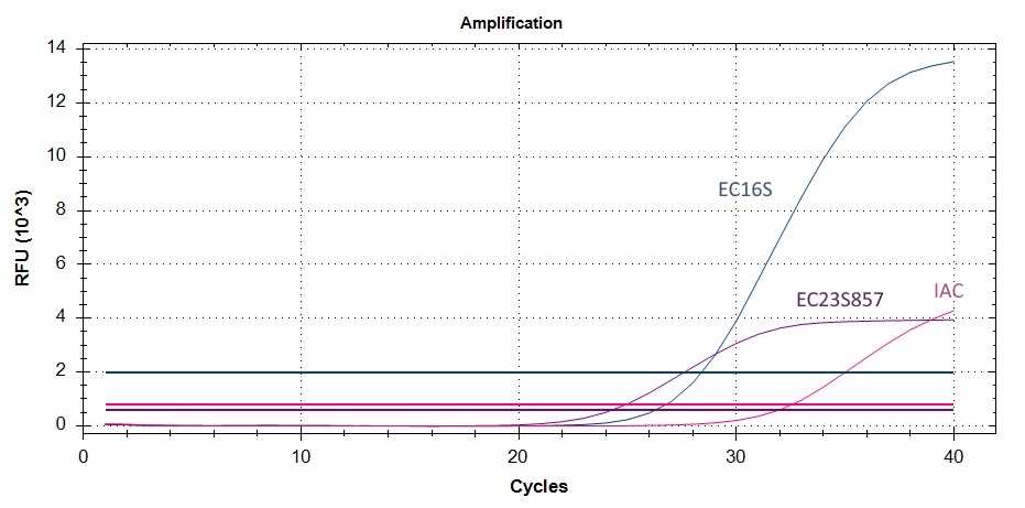 PCR data labelled