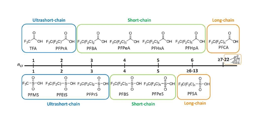  PFAS categorization based on chain length (image courtesy of Phenomenex & SCIEX)