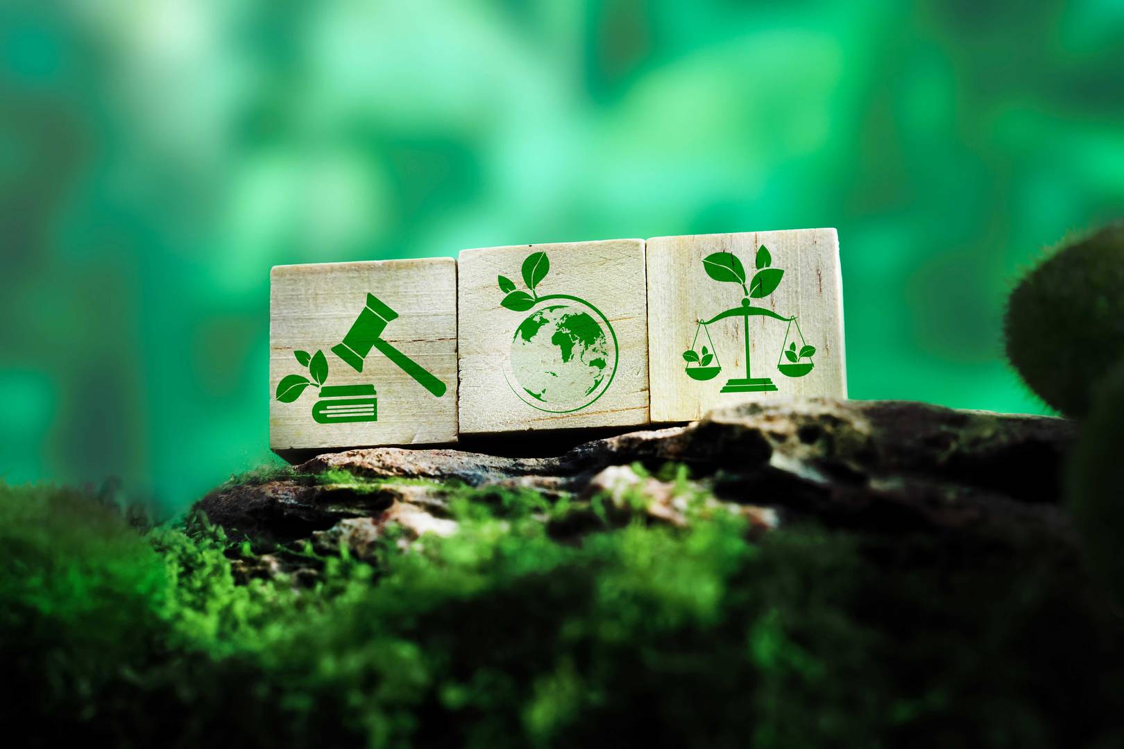 Tri drevené bloky so zelenými ikonami ekozákona, planéty Zem a spravodlivosti na machom kameňi, symbolizujúce udržateľný rozvoj, právnu ochranu prírody a environmentálnu spravodlivosť v zelenom kontexte.