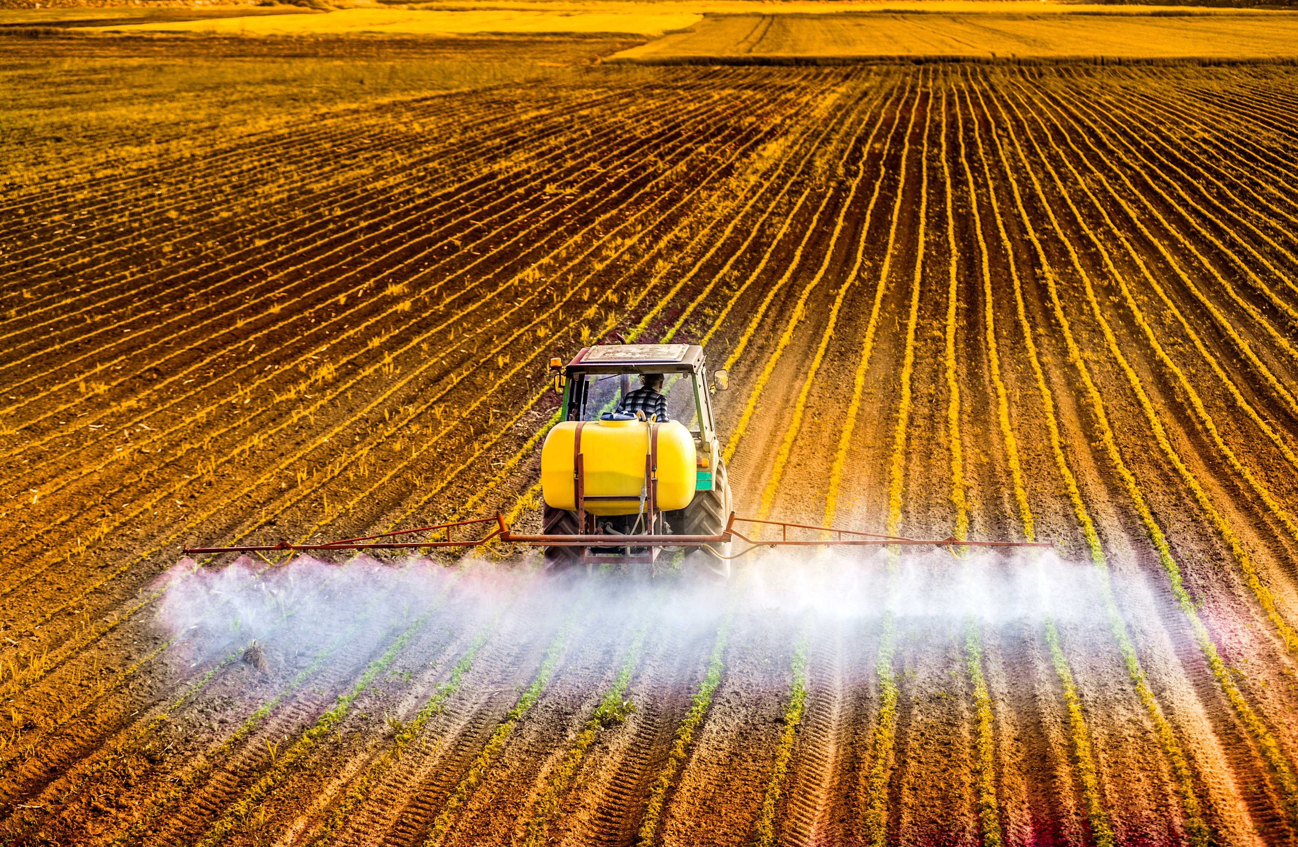 Traktor stříká pesticidy na poli