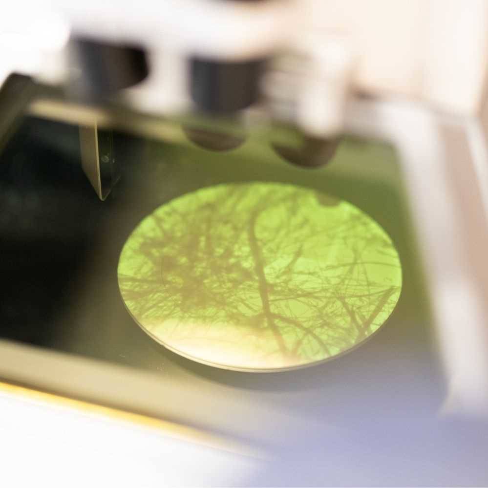 Analyse amiante en laboratoire