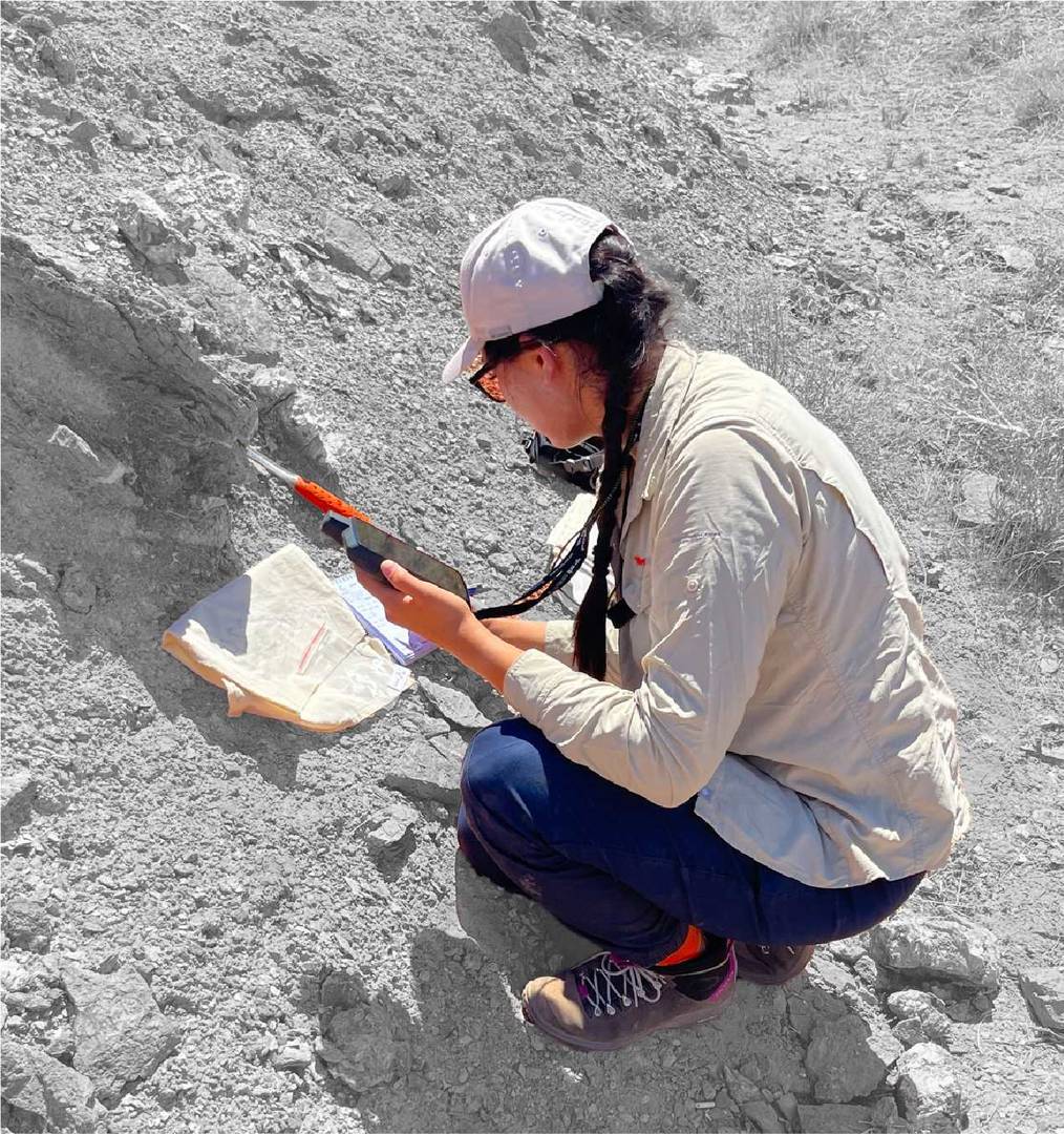 Geologist at field
