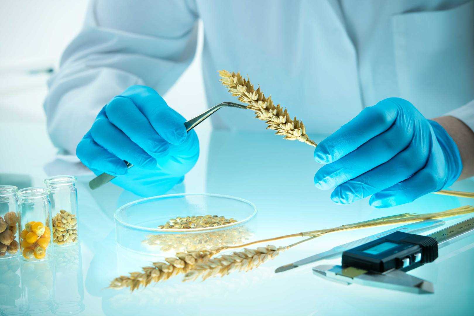 ALS Food - Biologia molekularna
