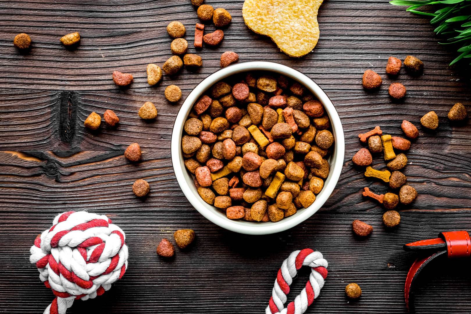 ALS Food Analizyw zywnosci dla zwierzat