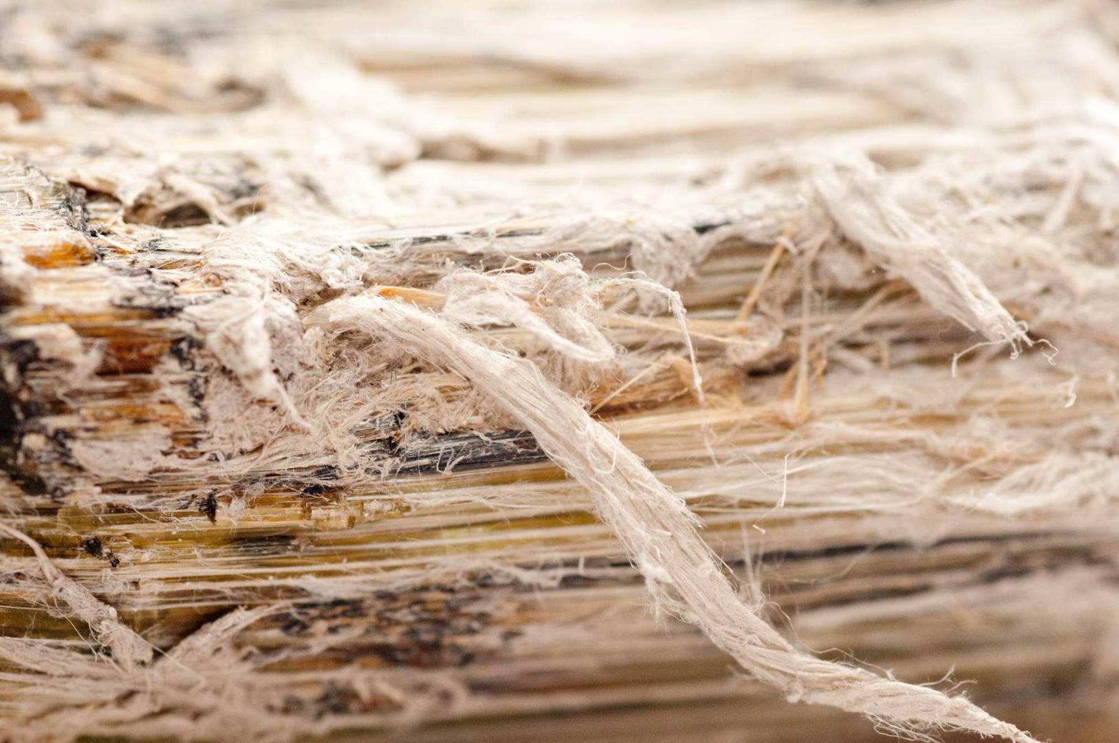asbestos fibres