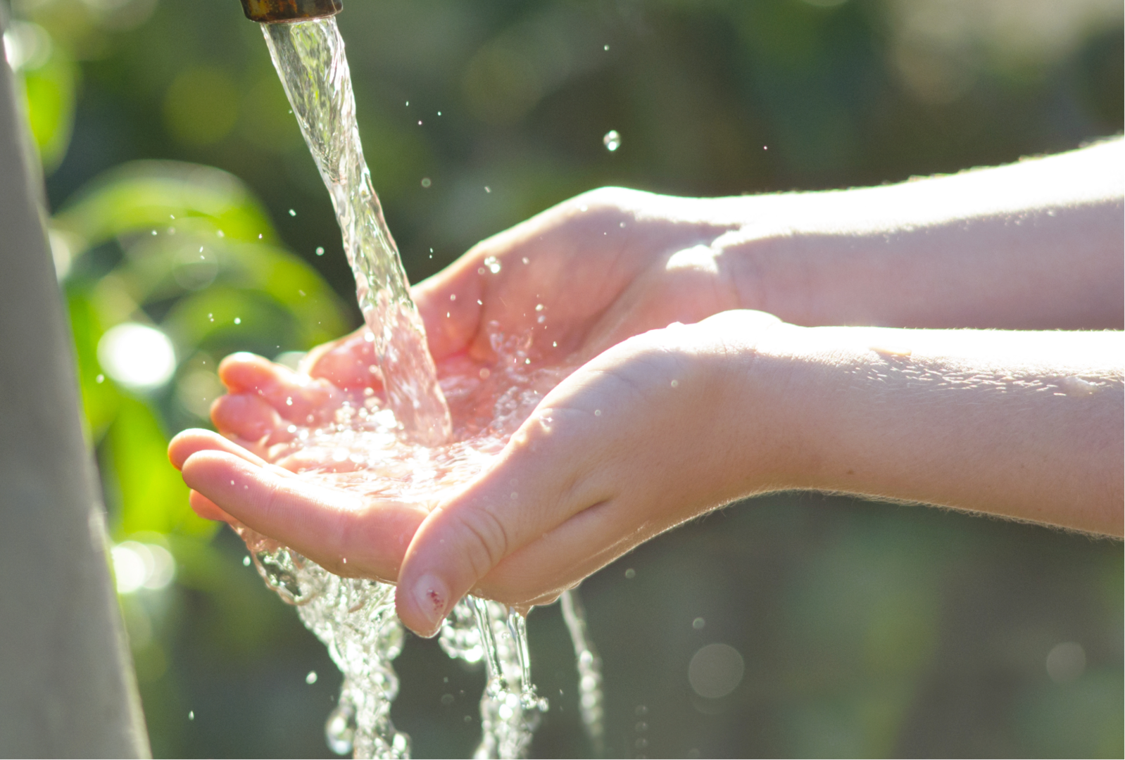 acqua